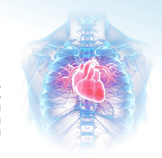 The Body Spa - Image 11