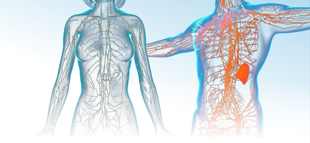 The Body Spa - Image 7